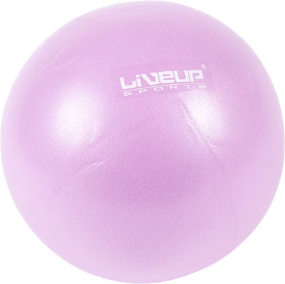 LIVE UP EXERCISE MINI BALL LS-3225 25-CM