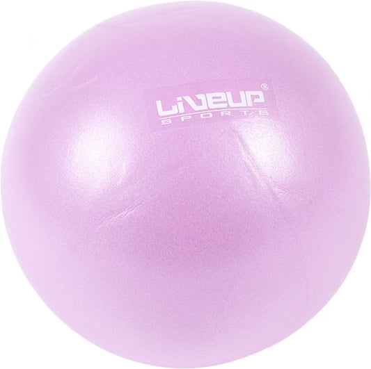 LIVE UP EXERCISE MINI BALL LS-3225 25-CM