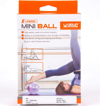 LIVE UP EXERCISE MINI BALL LS-3225 25-CM